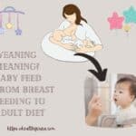Weaning Meaning Baby Feed from Breast Feeding to Adult Diet