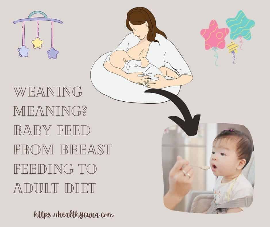 Weaning Meaning Baby Feed from Breast Feeding to Adult Diet