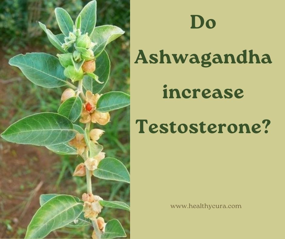 Benefits Of Ashwagandha For Men Testosterone Libido Energy