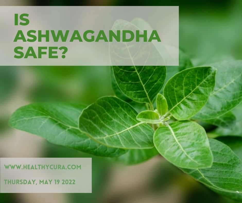 Is ashwagandha safe Healthy Cura