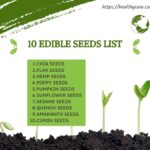 10 Edible Seeds List You Can Eat Healthy Cura