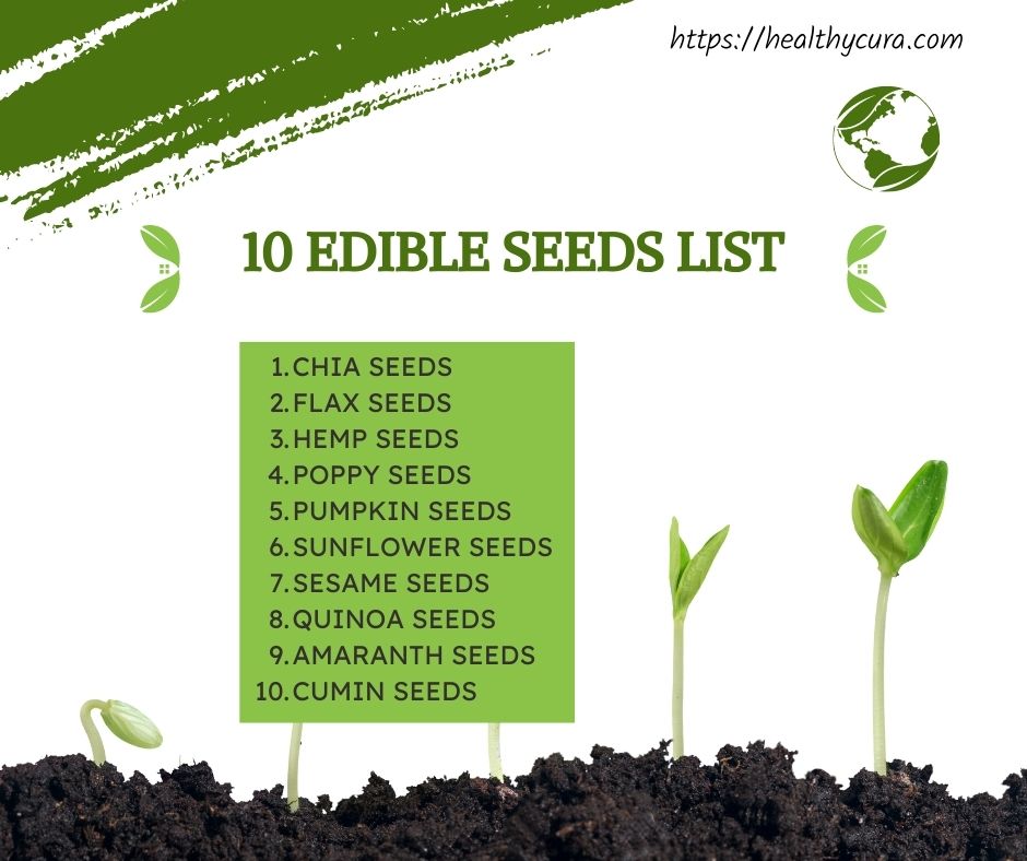10 Edible Seeds List You Can Eat Healthy Cura