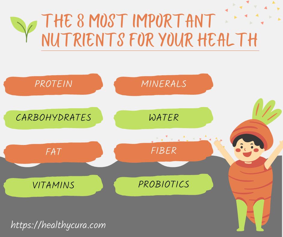 The 8 Most Important Nutrients for Your Health Healthy Cura