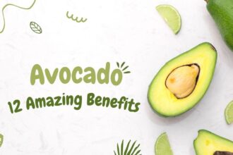 Explore 12 Amazing Benefits From Avocado Healthy Cura