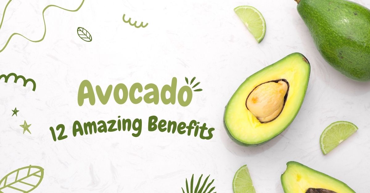 Explore 12 Amazing Benefits From Avocado Healthy Cura