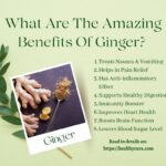 What Are The Amazing Benefits Of Ginger Healthy Cura