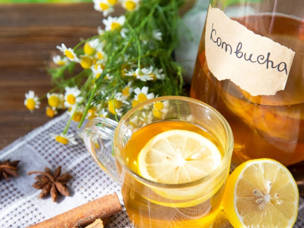 Kombucha