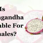 Is Ashwagandha Advisable For Females
